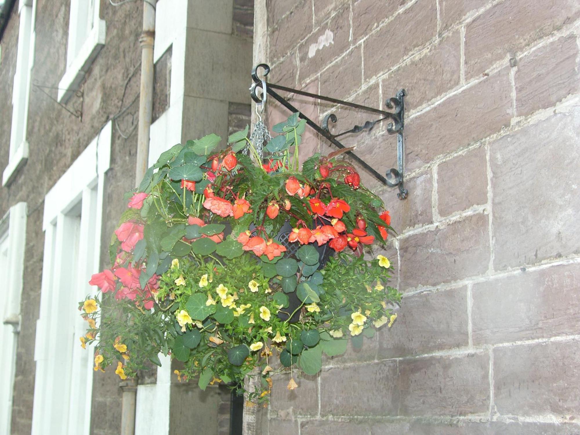 Comelybank Guesthouse Crieff Exterior foto